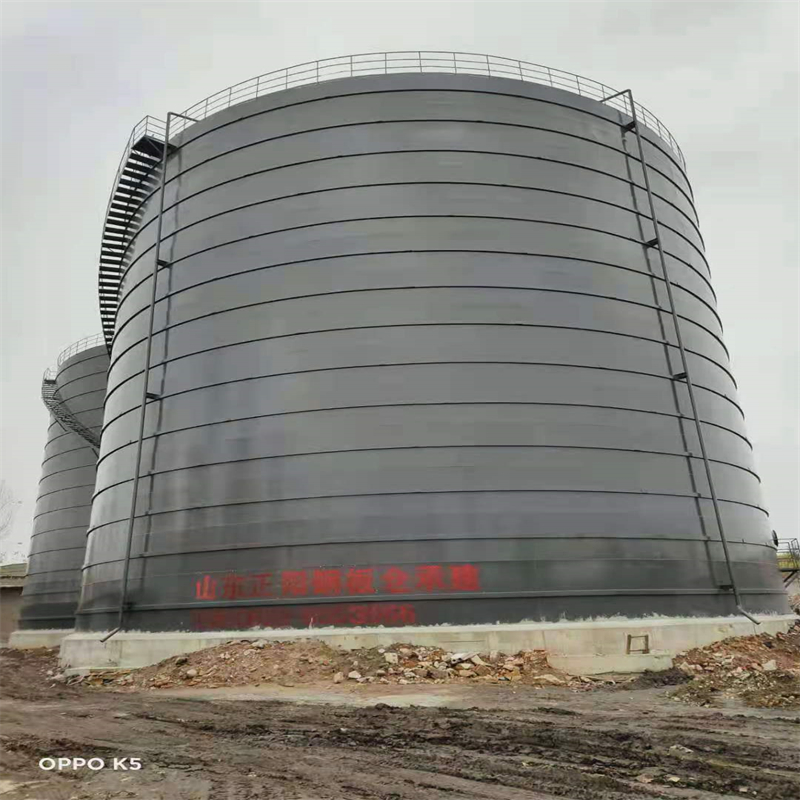 丹棱3万吨大型钢板库