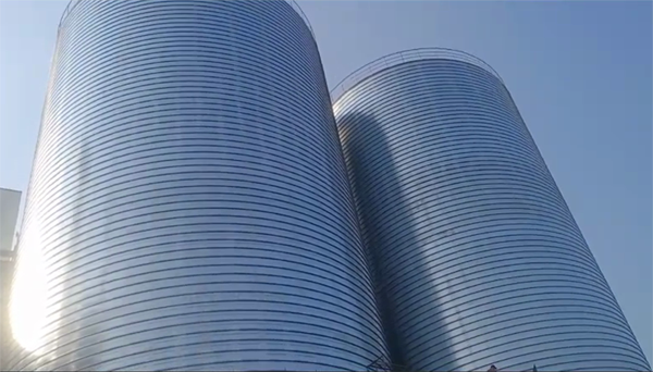 丹棱2座混凝土高架卷板仓